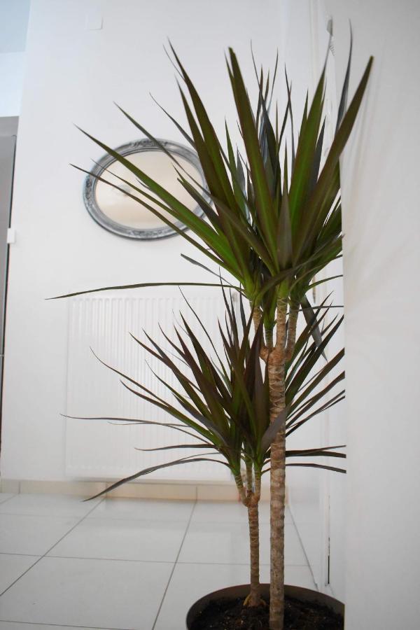 4Seasons Apartment Thebes Exterior photo